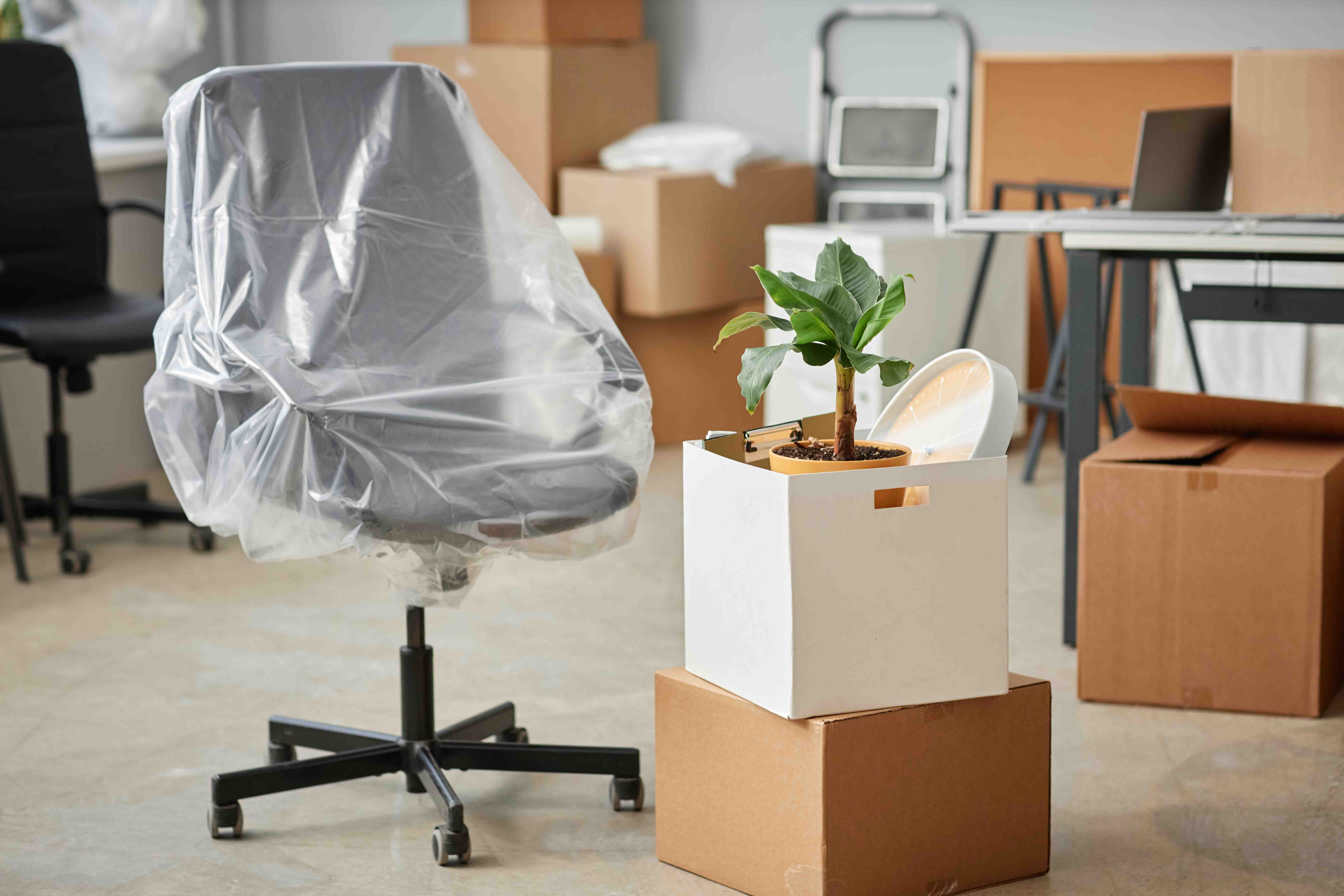 how much does an office relocation cost